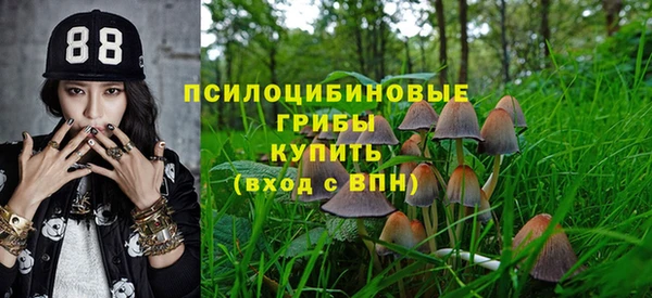 твердый Баксан